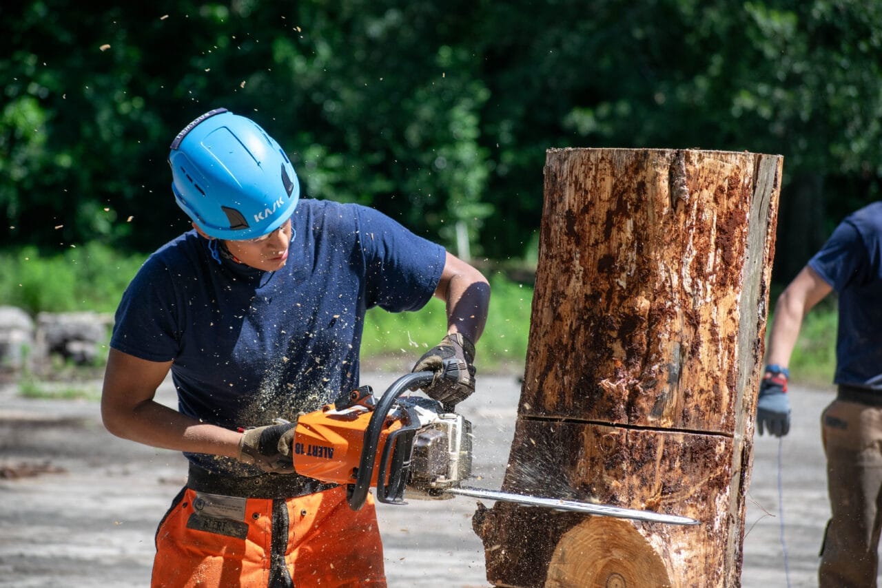 Chainsaw training at Intermediate phase